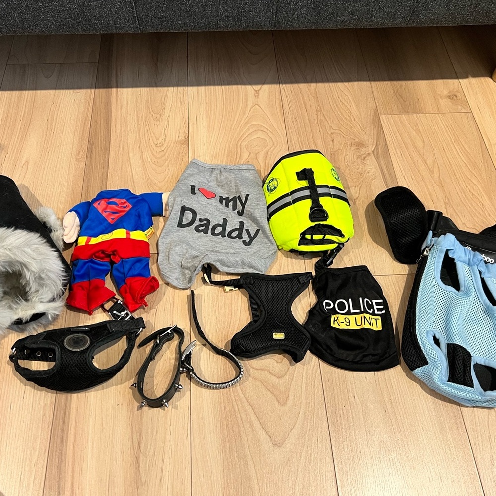 Assorted small Pet Costumes and Accessories chihuahua